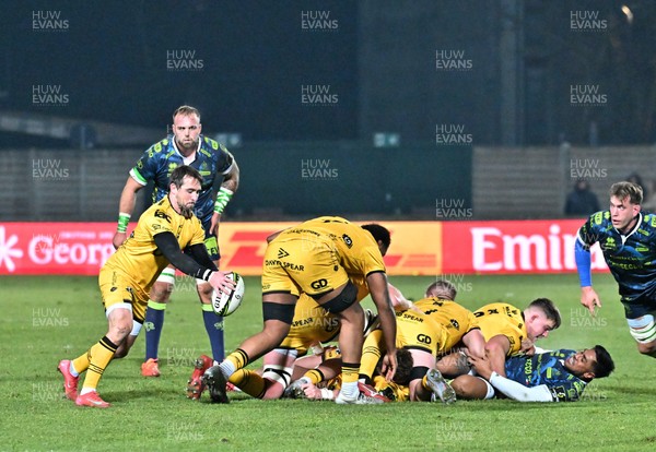100126 - Benetton Rugby v Dragons RFC - EPCR Challenge Cup - Rhodri Williams of Dragons kicks