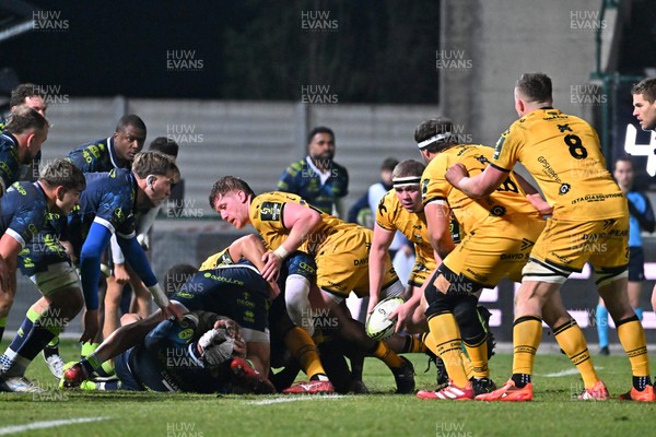 100126 - Benetton Rugby v Dragons RFC - EPCR Challenge Cup - Brodie Coghlan of Dragons 