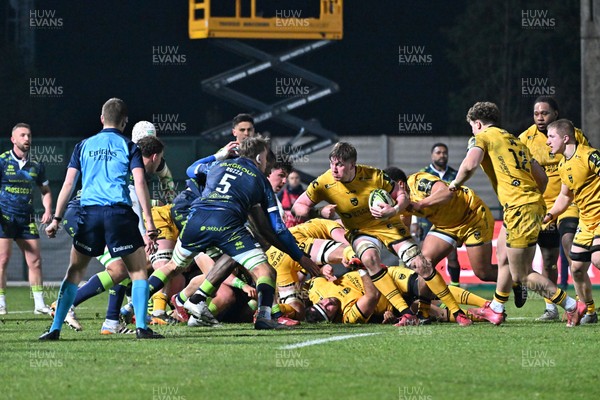 100126 - Benetton Rugby v Dragons RFC - EPCR Challenge Cup - Matthew Screech of Dragons 