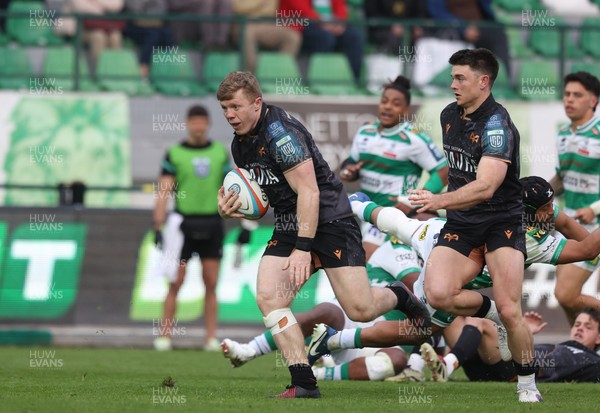 210326 - Benetton Rugby v Ospreys - United Rugby Championship - Keiran Williams of Ospreys on his way scoring a try