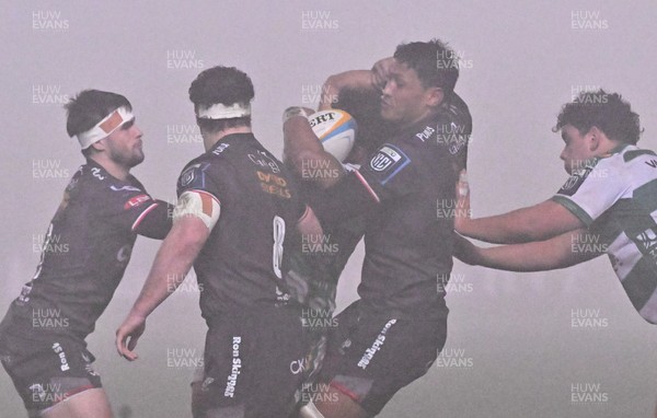 300126 - Benetton Rugby v Scarlets, United Rugby Championship - Sam Lousi of Scarlets wins the ball