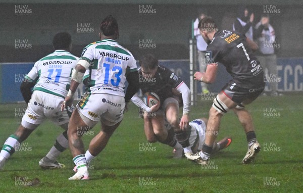 300126 - Benetton Rugby v Scarlets, United Rugby Championship - Macs Page of Scarlets is tackled