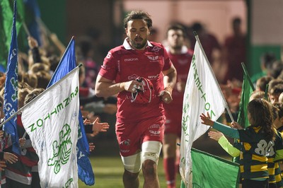 Benetton v Scarlets 160219