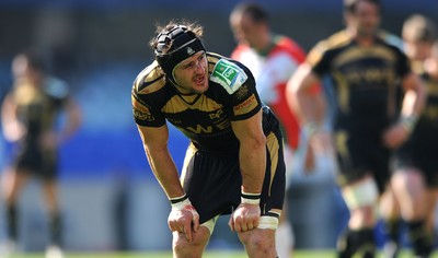 10.04.10 - Biarritz v Ospreys - Heineken Cup Quarter Final - Marty Holah of Ospreys. 