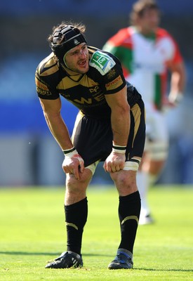 10.04.10 - Biarritz v Ospreys - Heineken Cup Quarter Final - Marty Holah of Ospreys. 