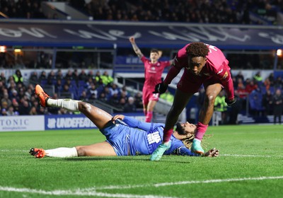 130124 - Birmingham City v Swansea City, EFL Sky Bet Championship - Jamal Lowe of Swansea City scores Swansea’s second goal