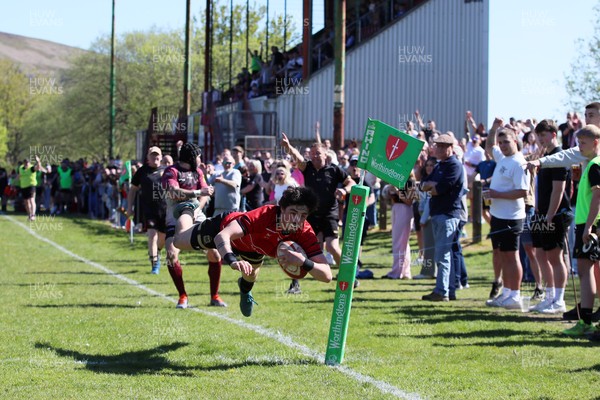250426 - Blaina v Bedlinog - Admiral National League 1 East - Regan Watkins of Blaina RFC dives in the corner to score a try in 2nd half 