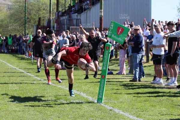 250426 - Blaina v Bedlinog - Admiral National League 1 East - Regan Watkins of Blaina RFC dives in the corner to score a try in 2nd half 