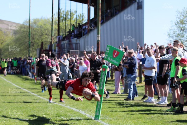 250426 - Blaina v Bedlinog - Admiral National League 1 East - Regan Watkins of Blaina RFC dives in the corner to score a try in 2nd half 