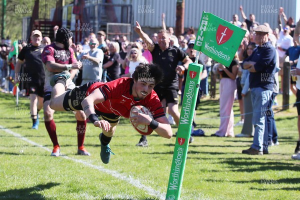 250426 - Blaina v Bedlinog - Admiral National League 1 East - Regan Watkins of Blaina RFC dives in the corner to score a try in 2nd half 