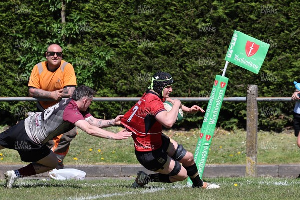 250426 - Blaina v Bedlinog - Admiral National League 1 East - Ben Cooper of Blaina RFC scores a try in 1st half 