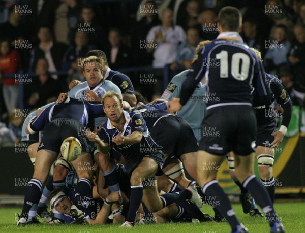 28.09.07  Cardiff Blues vs. Leinster. Magners League. Cardiff Arms Park, Cardiff. 
 
Scrum-half Chris Whitaker clears to Johnathan Sexton(10).  
 
Darren Griffiths/