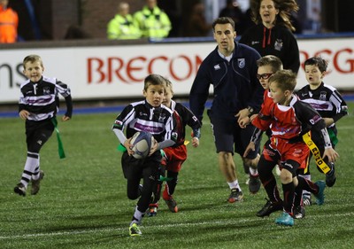 111215 - Cardiff Blues v Montpellier, European Challenge Cup - Half Time Tag Matches