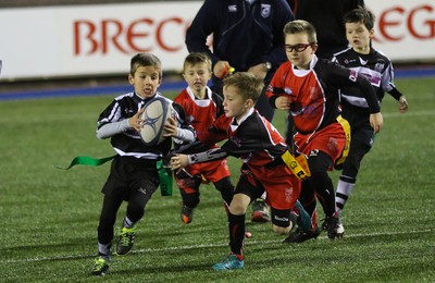 111215 - Cardiff Blues v Montpellier, European Challenge Cup - Half Time Tag Matches