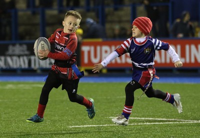 111215 - Cardiff Blues v Montpellier, European Challenge Cup - Half Time Tag Matches