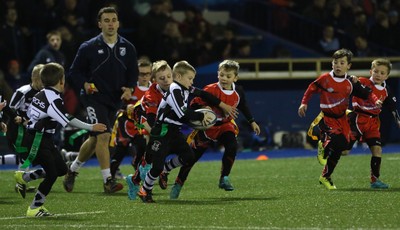 111215 - Cardiff Blues v Montpellier, European Challenge Cup - Half Time Tag Matches