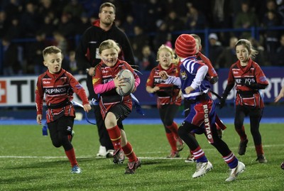 111215 - Cardiff Blues v Montpellier, European Challenge Cup - Half Time Tag Matches