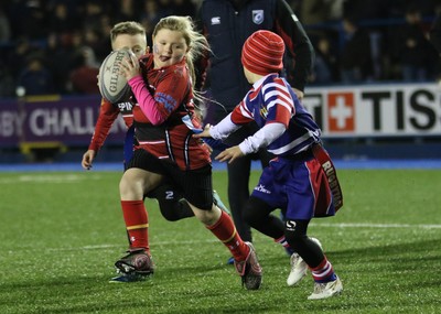 111215 - Cardiff Blues v Montpellier, European Challenge Cup - Half Time Tag Matches
