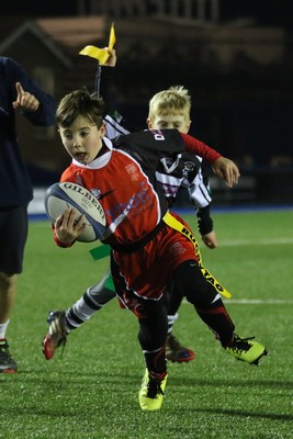 111215 - Cardiff Blues v Montpellier, European Challenge Cup - Half Time Tag Matches