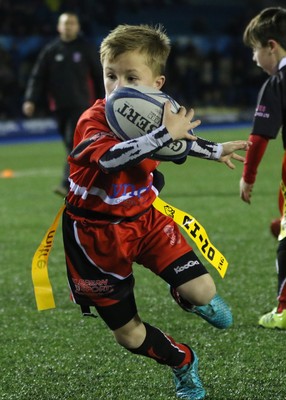 111215 - Cardiff Blues v Montpellier, European Challenge Cup - Half Time Tag Matches