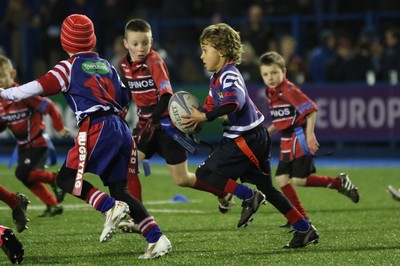 111215 - Cardiff Blues v Montpellier, European Challenge Cup - Half Time Tag Matches