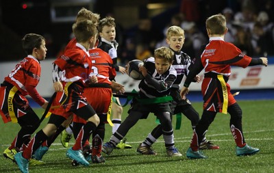 111215 - Cardiff Blues v Montpellier, European Challenge Cup - Half Time Tag Matches