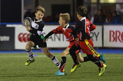111215 - Cardiff Blues v Montpellier, European Challenge Cup - Half Time Tag Matches