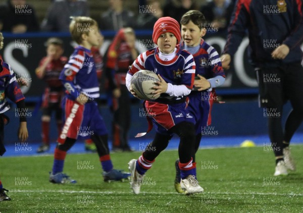 111215 - Cardiff Blues v Montpellier, European Challenge Cup - Half Time Tag Matches