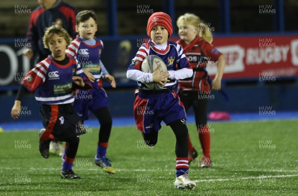 111215 - Cardiff Blues v Montpellier, European Challenge Cup - Half Time Tag Matches