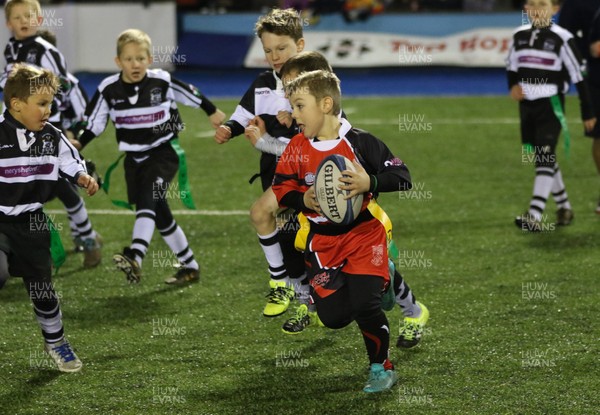 111215 - Cardiff Blues v Montpellier, European Challenge Cup - Half Time Tag Matches