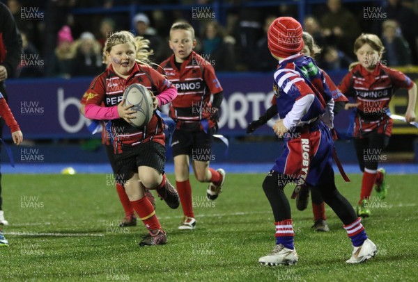 111215 - Cardiff Blues v Montpellier, European Challenge Cup - Half Time Tag Matches