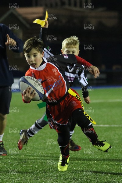 111215 - Cardiff Blues v Montpellier, European Challenge Cup - Half Time Tag Matches