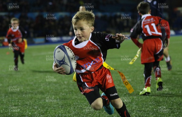 111215 - Cardiff Blues v Montpellier, European Challenge Cup - Half Time Tag Matches