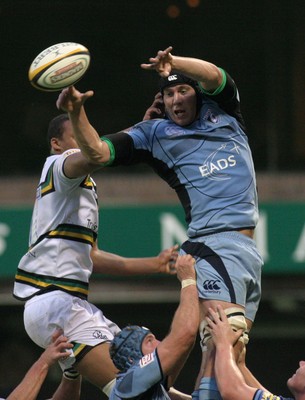 29.08.08 Cardiff Blues vs. Northampton Saints. Pre-Season Friendly. Cardiff Arms Park, Cardiff. 
 
James Down wins lineout ball. 
 
