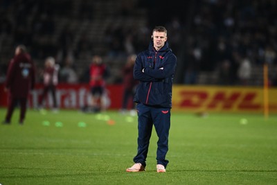 131225 - Bordeaux-Begles v Scarlets - Investec Champions Cup - Scarlets Head Coach Dwayne Peel 