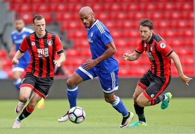 Bournemouth v Cardiff City 300716