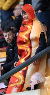 270424 - Bradford City v Newport County - Sky Bet League 2 - Hot Dog Newport fan