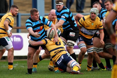 Bridgend v Cardiff 161119