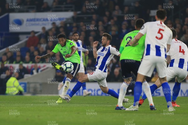 160419 - Brighton and Hove Albion v Cardiff City - Premier League - Nathaniel Mendez-Laing scores a goal curling it in from outside the box