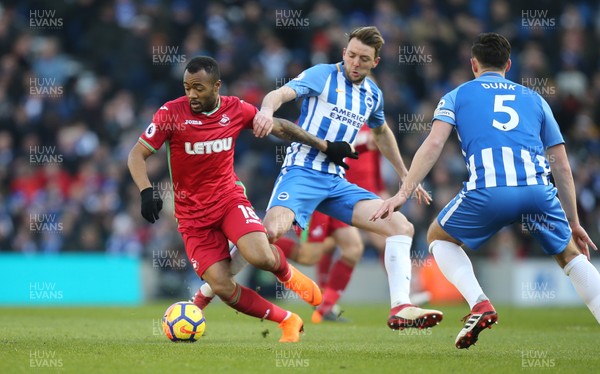 240218 - Brighton and Hove Albion v Swansea City, Premier League - Jordan Ayew of Swansea City takes on Dale Stephens of Brighton and Lewis Dunk of Brighton