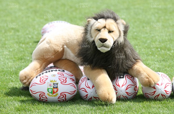 150513 - British and Irish Lions Training session, Vale Resort, Cardiff - The British and Irish Lions mascot guards the balls at the start of training 