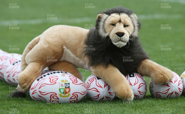 150513 - British and Irish Lions Training session, Vale Resort, Cardiff - The British and Irish Lions mascot guards the balls at the start of training 