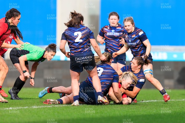 140226 - Brython Thunder v Edinburgh - Celtic Challenge - Seren Lockwood of Brython Thunder goes over for a try