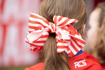 080326 - Brython Thunder v Gwalia Lightning, Celtic Challenge - A guard of honour waits for the players