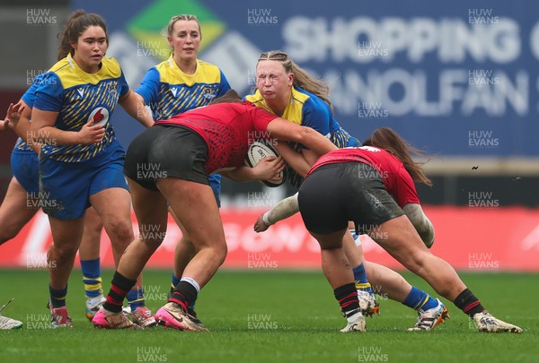 080326 - Brython Thunder v Gwalia Lightning, Celtic Challenge - Alaw Pyrs of Gwalia Lightning looks to charge forward