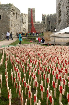 Caernarfon Castle 311016