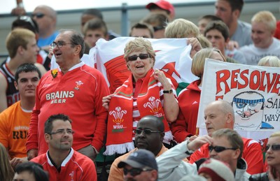30.05.09 - Canada v Wales - Wales fans. 