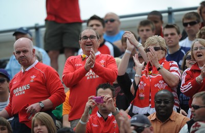 30.05.09 - Canada v Wales - Wales fans. 