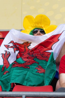 300825 - Canada v Wales, Women’s Rugby World Cup - Wales supporters at the match