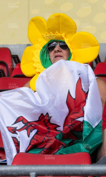 300825 - Canada v Wales, Women’s Rugby World Cup - Wales supporters at the match